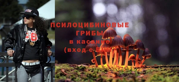 стаф Гусев