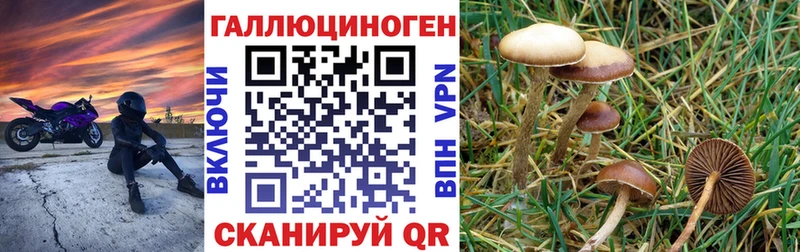 Псилоцибиновые грибы мухоморы  hydra как войти  Добрянка  дарнет шоп 