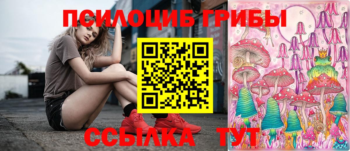 Галлюциногенные грибы Cubensis  Добрянка 