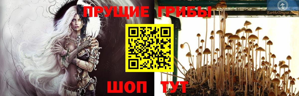 Галлюциногенные грибы Cubensis  наркошоп  Добрянка  Вход с VPN 